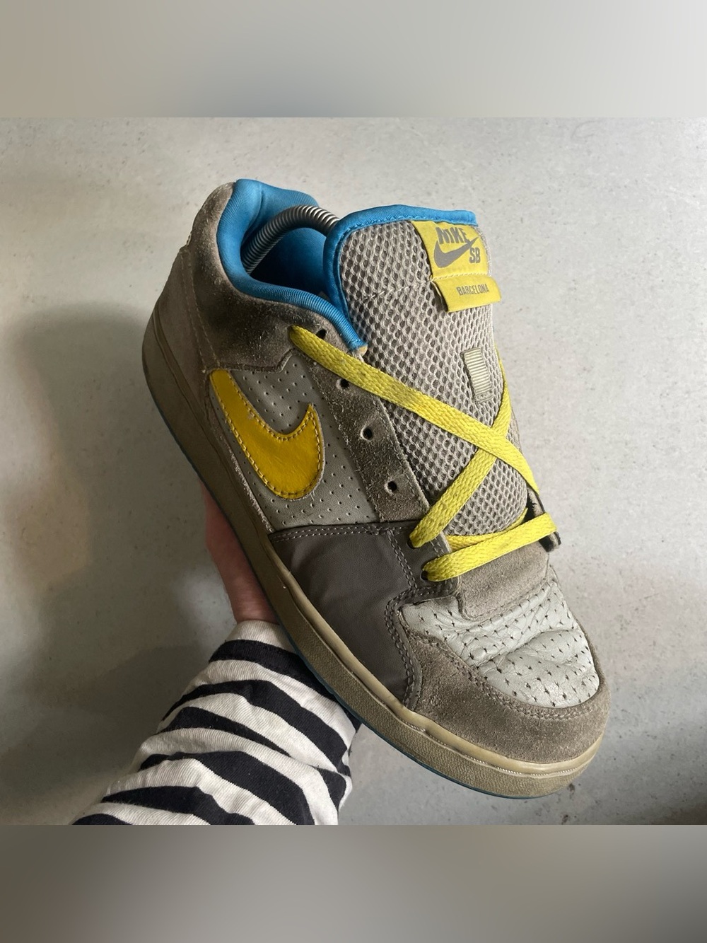 Nike SB Team Edition Barcelona